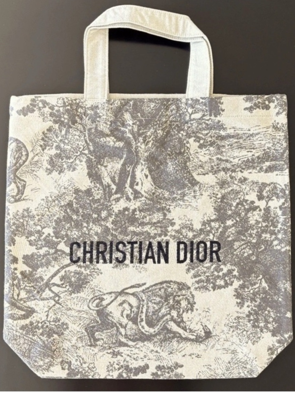 DIOR Toile De Jouy Tote Bag